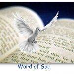 Leaders of multiple faiths sign common declaration ahead of COP26