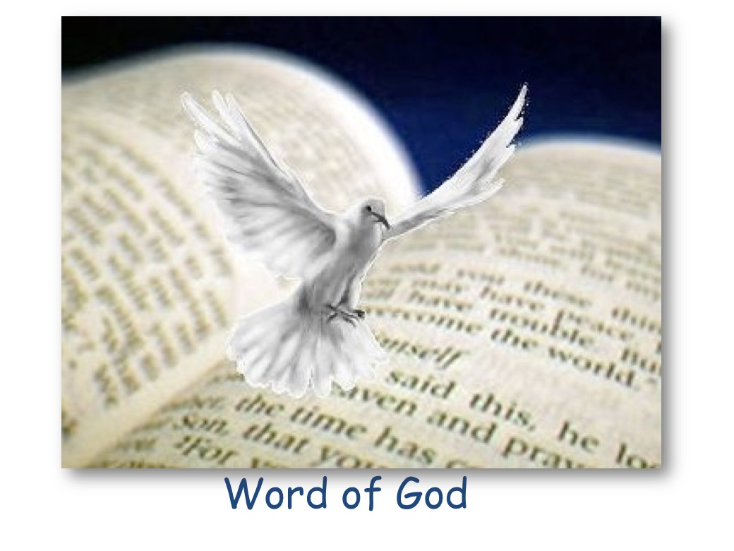 Leaders of multiple faiths sign common declaration ahead of COP26