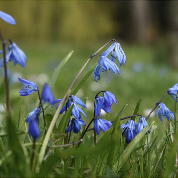 Pope Francis delivers BBC’s ‘Thought for the Day’