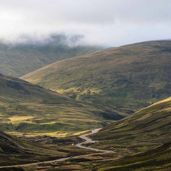 A Retreat for Summer