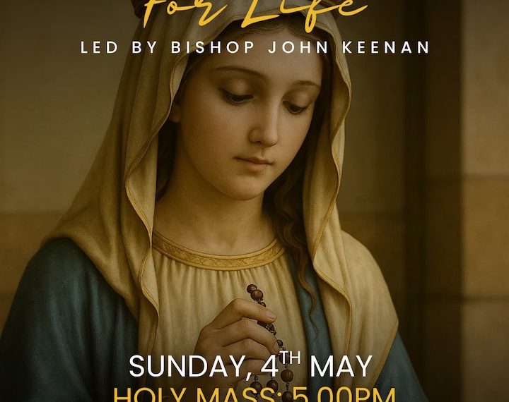 Rosary in prayer for our country – to care not kill