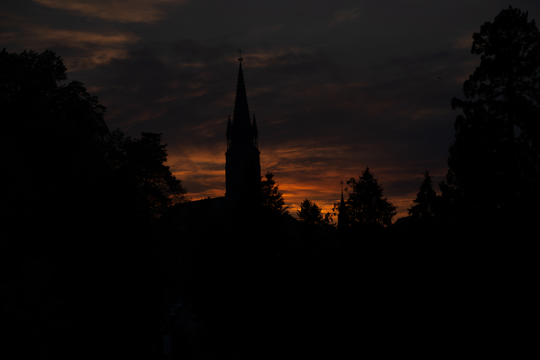 This image has an empty alt attribute; its file name is D85_4280-1.jpg